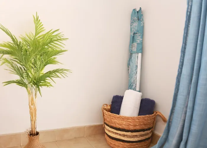 Albatros أنتيغوا